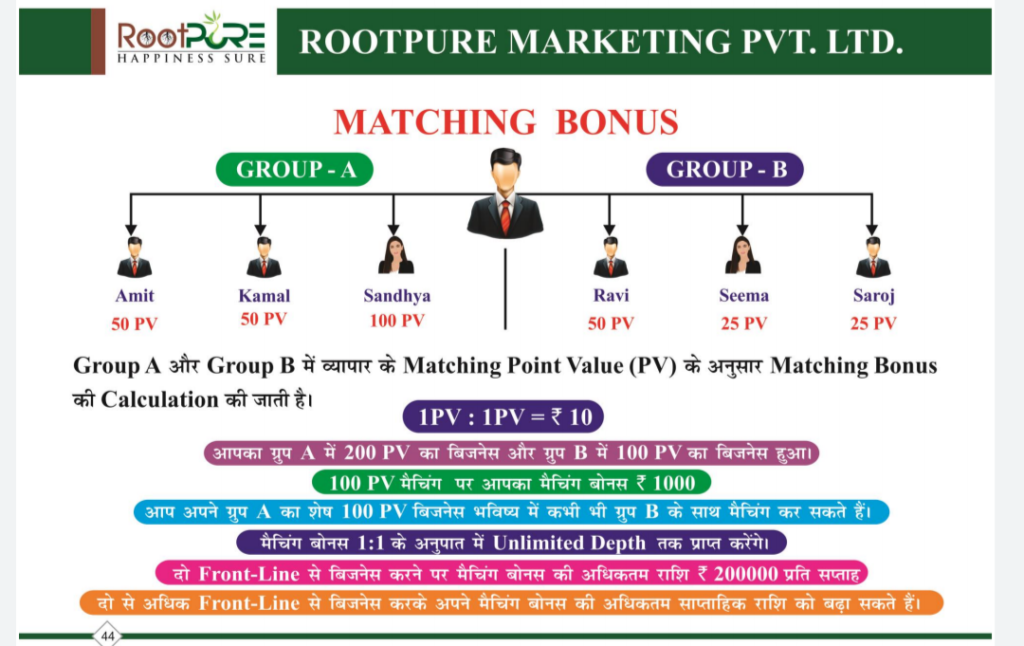Rootpure full plan pdf