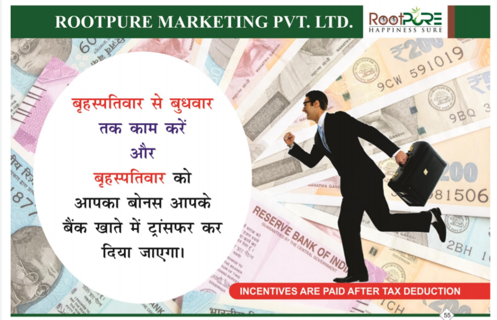 Rootpure full plan pdf